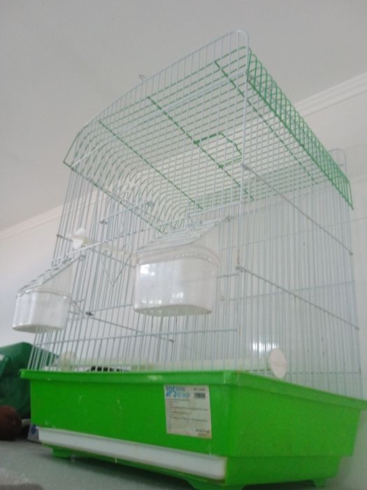 Gaiola média/grande em óptimo estado