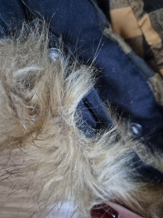 Ocieplana granatowa parka dla chłopca Reserved 146