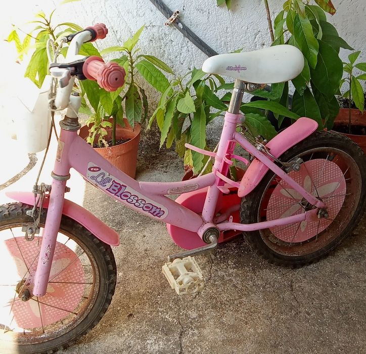 Bicicleta Criança Blossom