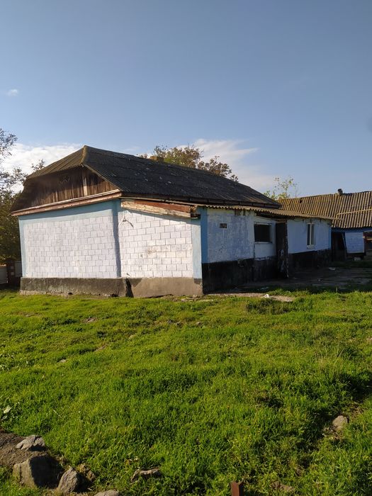 Будинок степова39