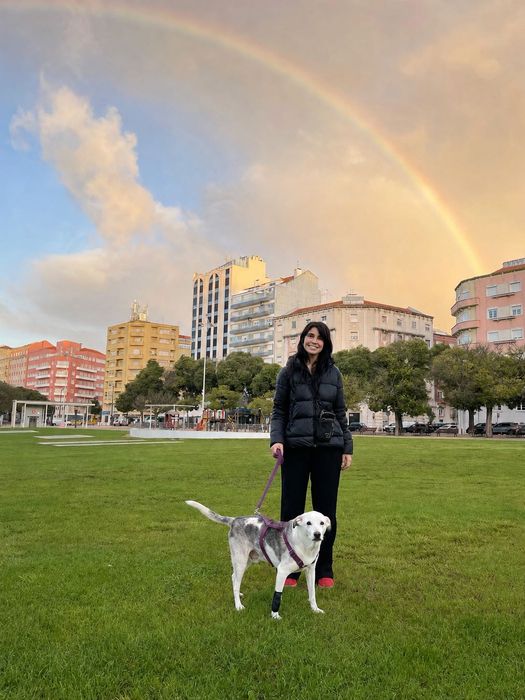 Passeios e Pet Sitting - Areeiro, Arroios, Anjos