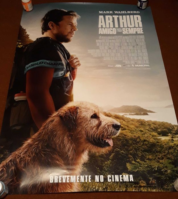 Cartazes de cinema - portes incluídos