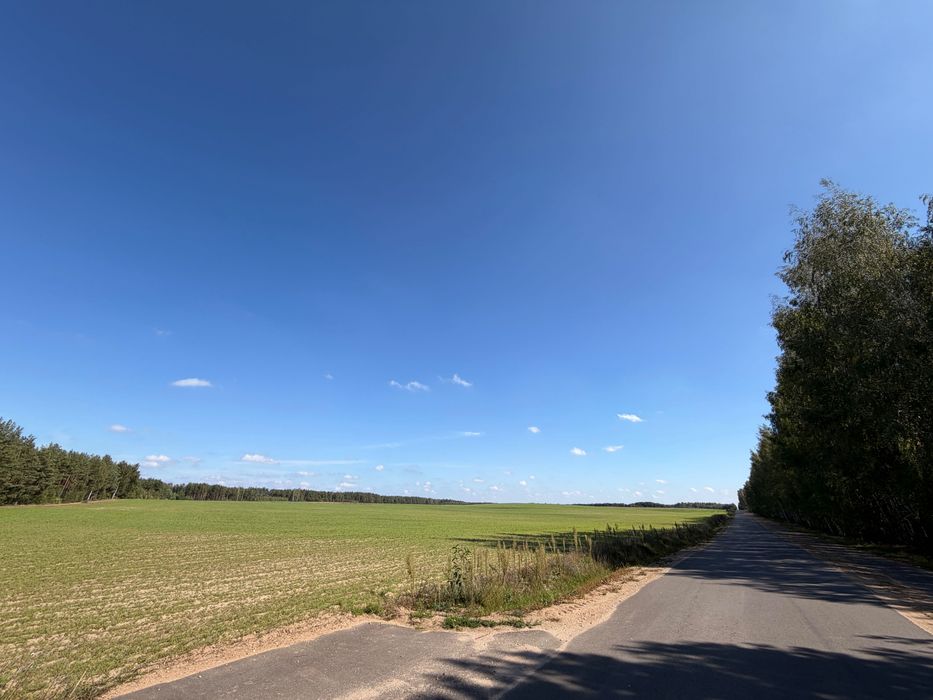 Sprzedam nieruchomość rolną o powierzchni 87 ha