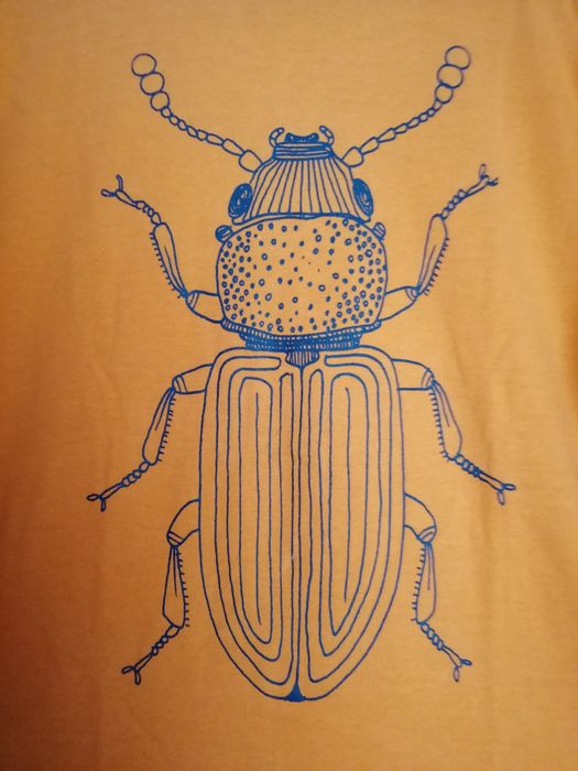 Bluzki z krótkim i długim rękawem chłopięce 146 pomarańcz szara biała