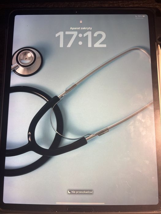 Ipad pro 12.9 3 gen 256 gb