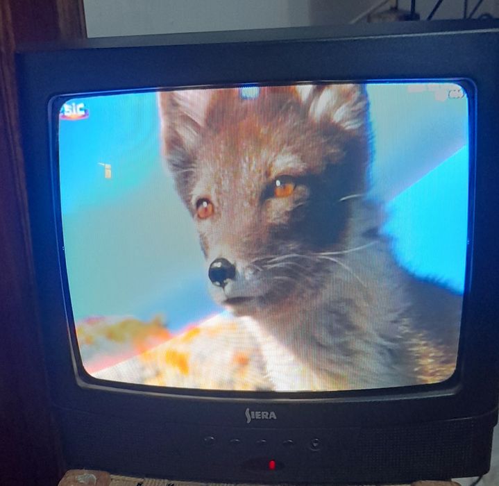 Siera 37 cm TV64284325329409126