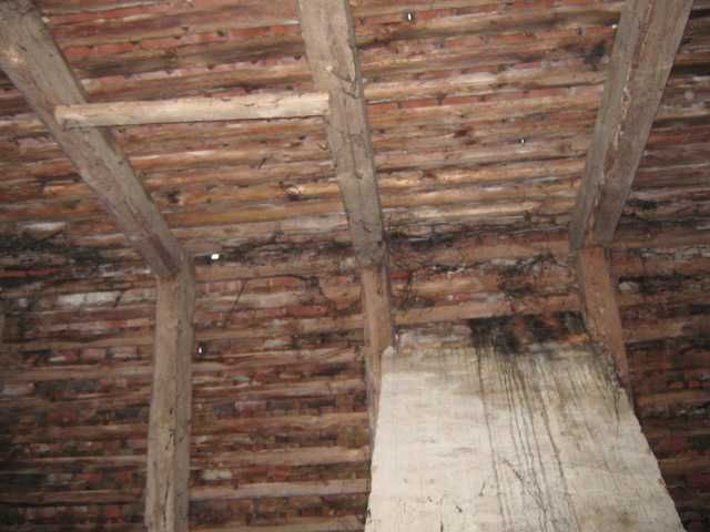 Dom sprzedam dom 99 000zł.