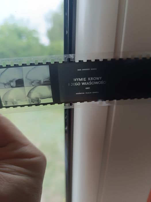 Slajd, film szkoleniowy weterynaria do rzutnika PRL