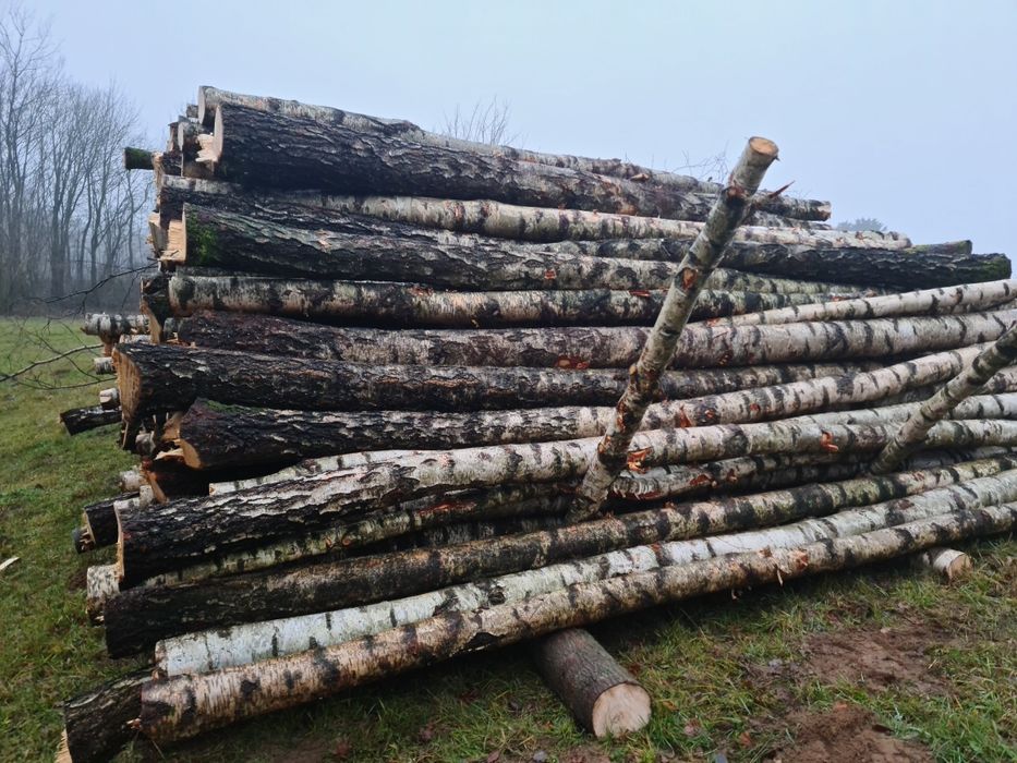 Sprzedam Brzoza opałową. Drewno opalowe