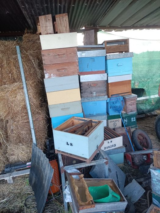 Material de apicultura