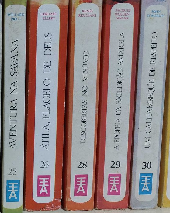 Livros da Europa-América Juvenil - Vários