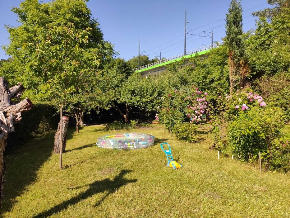 Działka ROD „Dolinka” z ogromnym potencjałem – Olsztyn, ul. Synów Pułku - Widok 6