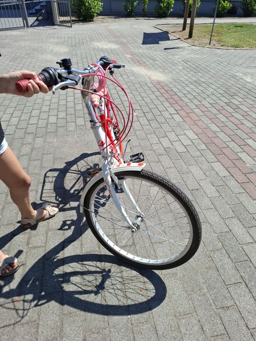 Rower dziewczęcy Arkus