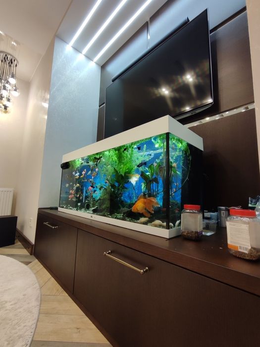 Велика  3-кімнатна квартира з дизайнерським ремонтом