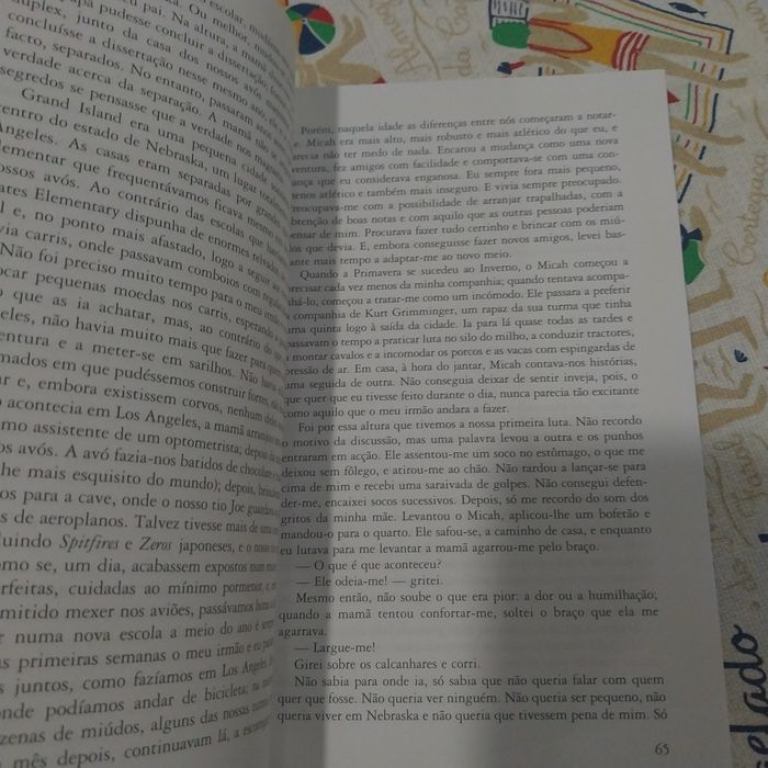 Três semanas com o meu irmão.  Portes incluídos