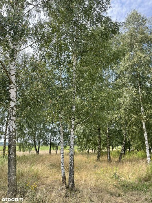 Działki budowlane z WZ blisko plaży i zalewu 1000 m², 3000 m² i 7618 m² – pohled 3