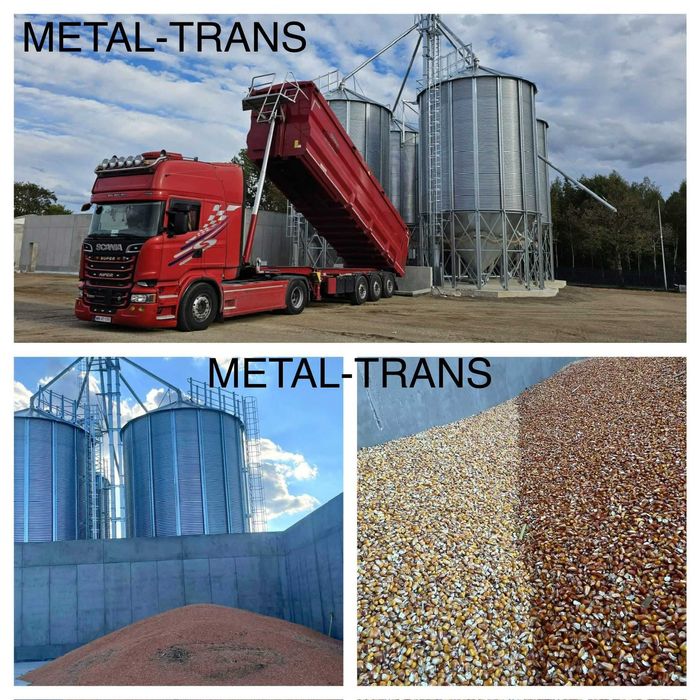 pszenica, pszenżyto, żyto, jęczmień, owies, kukurydza, rzepak