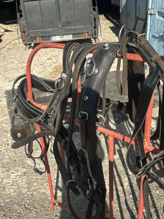 Arreio de parelha para engatar cavalos (atrelagem)