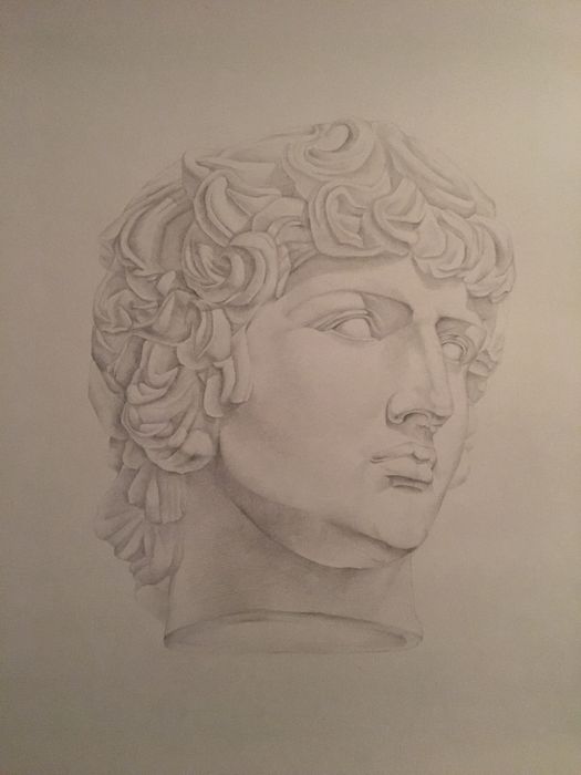 Рисунок грецьких скульптур/графічні роботи/Аполон/Венера/Антиной