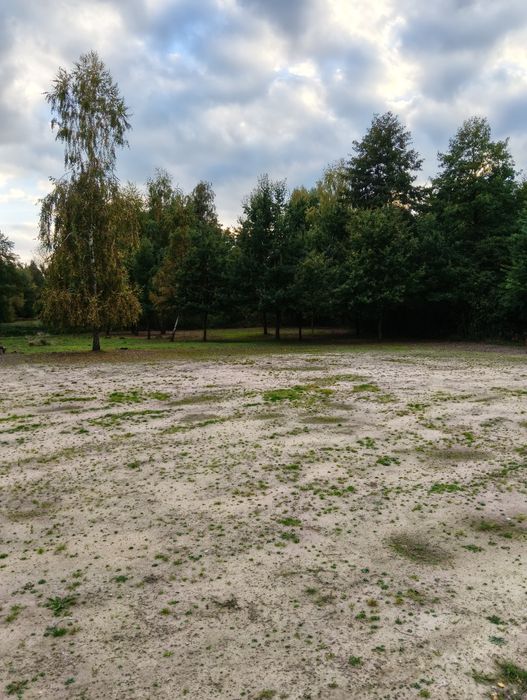 Sprzedam działki nad jeziorem