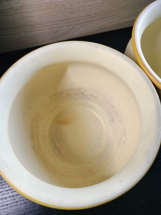 2 Porta Vasos amarelos