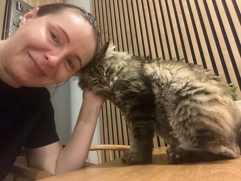 Catsitter-Opieka nad kotem - Wawer i okolice