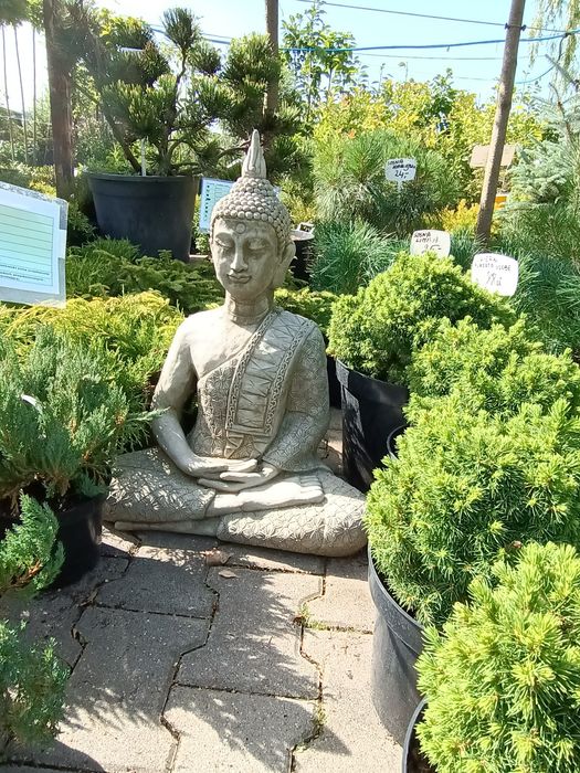 Figura antyczna z betonu Budda
