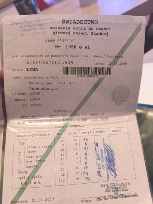 Klacz Śląska 17 at