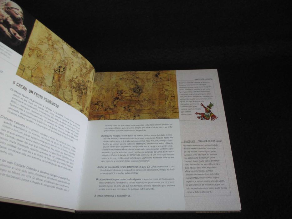 Livro Paixão Pelo Chocolate Adriana Ortemberg