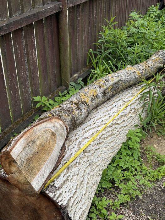 Продам горіх на дошку