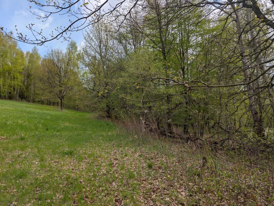 Działki budowlane na sprzedaż gmina Łapanów - Widok 5