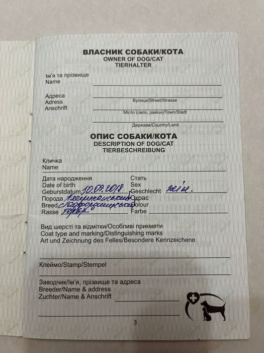 Віддам собаку в добрі та відповідальні руки.