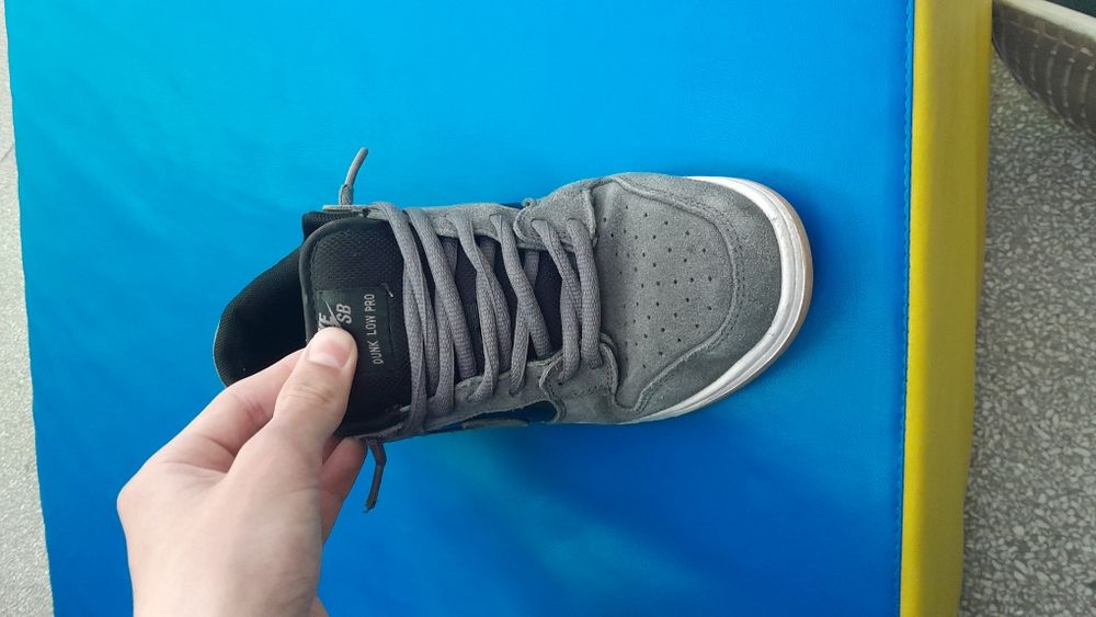 Nike dunk low pro