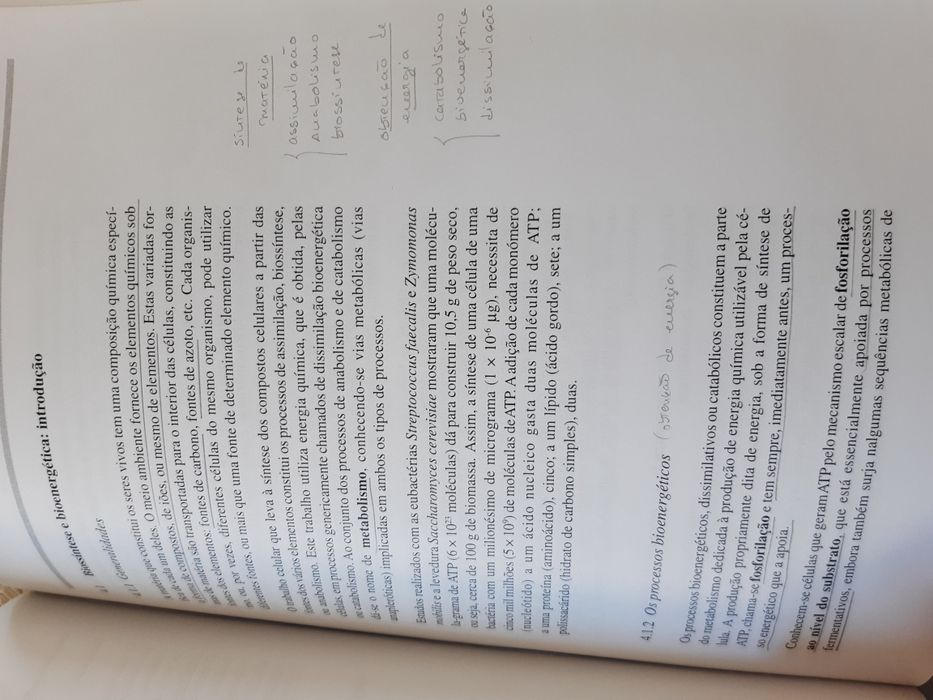 Livro Biologia microbiana