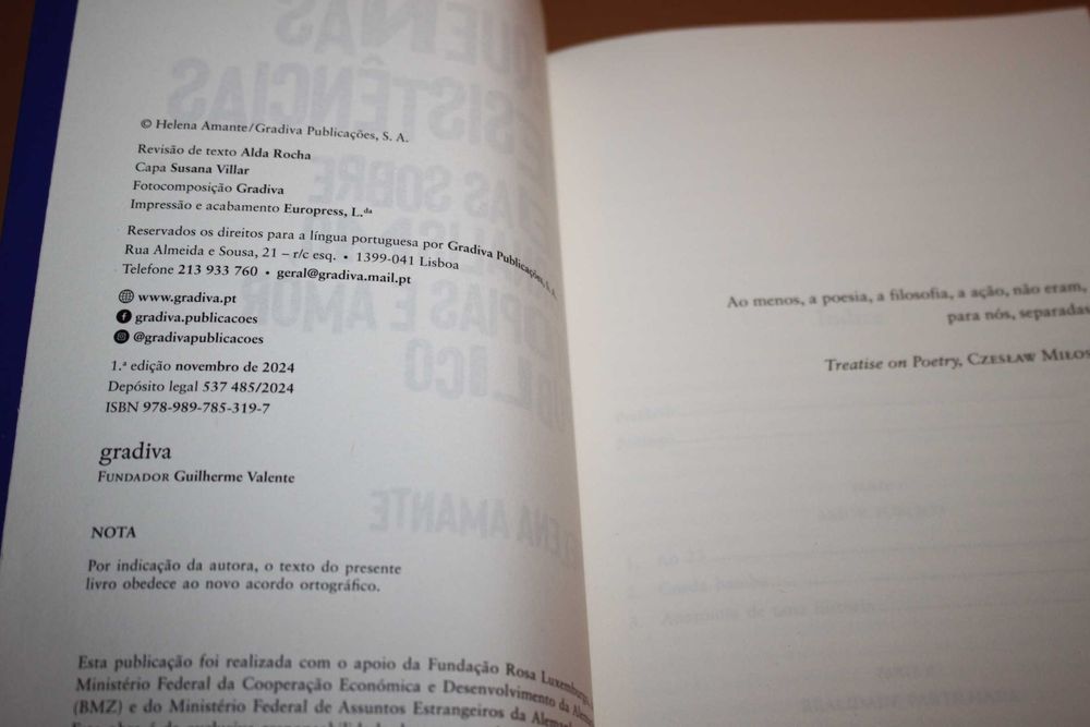 Pequenas Resistências // Helena Amante