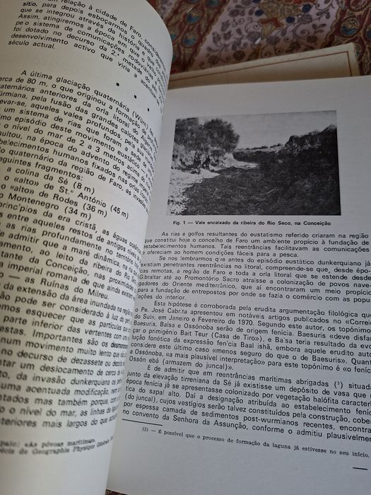 Anais do Município de Faro em 1974