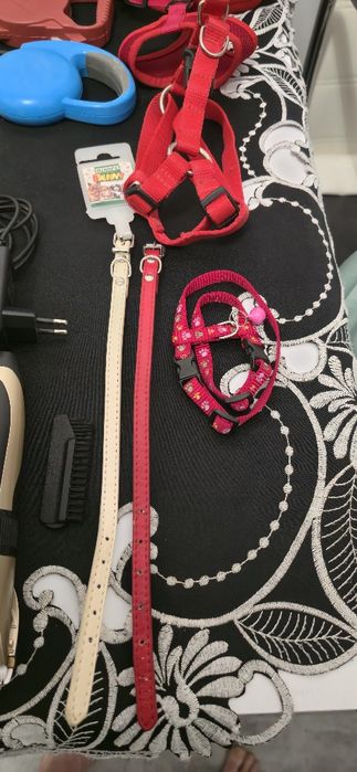 Zestaw dla małego pieska