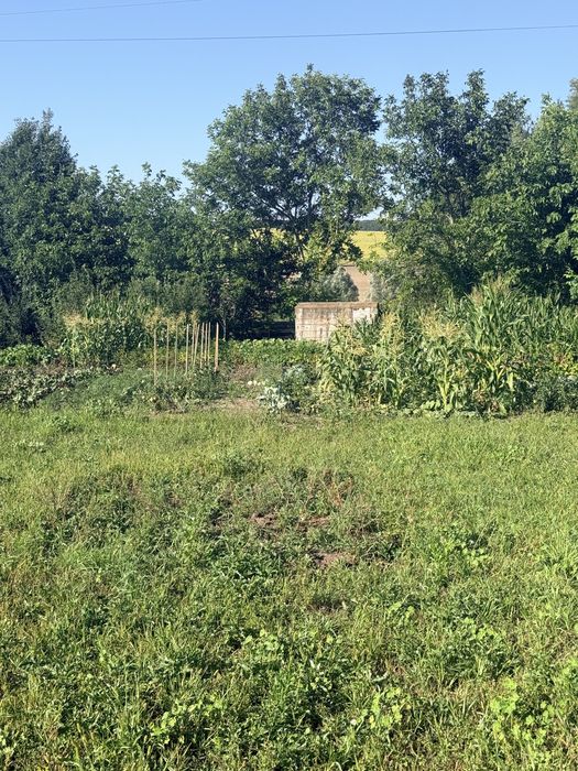 Продаж земельної ділянки Лісові Гринівці