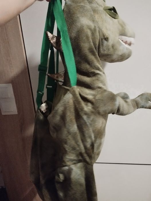Strój smoka dinozaura Ostrołęka • OLX.pl