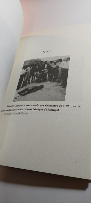 Porcalhices da Política - Adulcino Silva