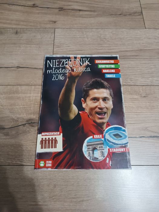 Niezbędnik młodego kibica 2016