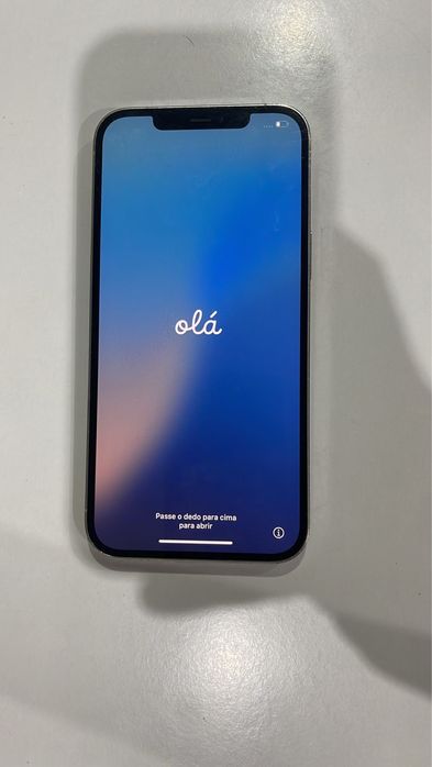 iPhone 12 Pro Max 256GB