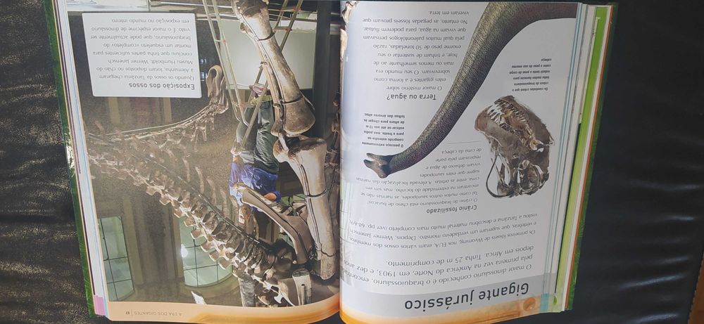 Livro: Enciclopédia dos Dinossauros