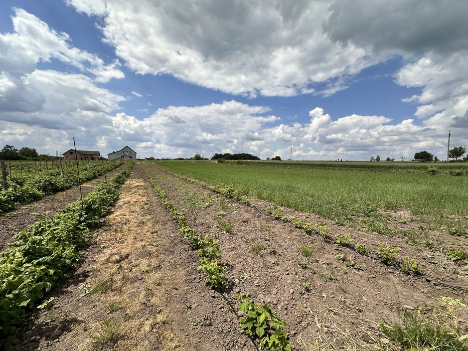 Продаж будинку БЕЗ КОМІСІЇ / с. Верба