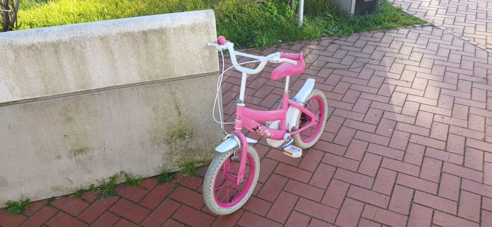 Bicicleta roda 14