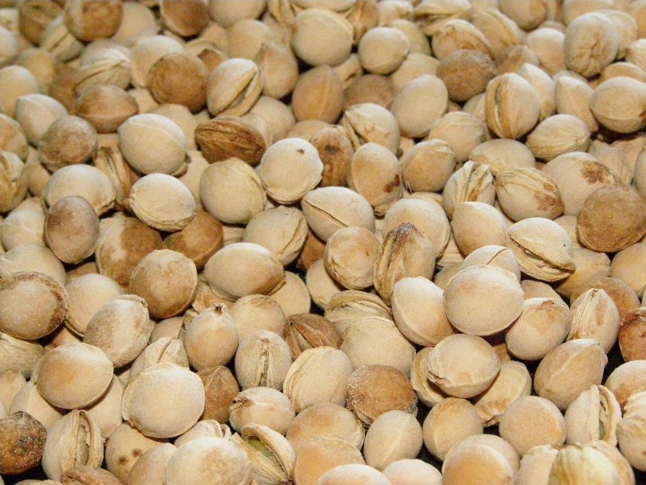 Вишневые косточки