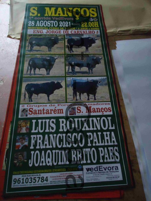 Toiros - Cartazes de Montra 3