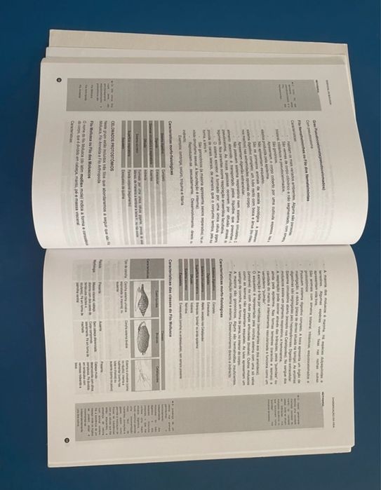 Livro O Essencial de Biologia 12 ano