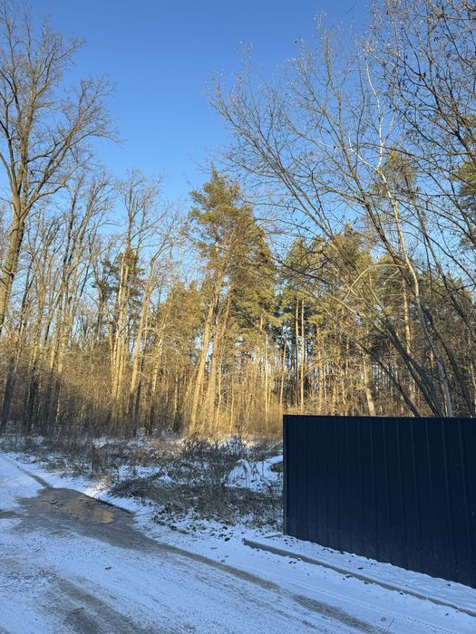 Продам ділянку с виходом до Заповідного Лісу