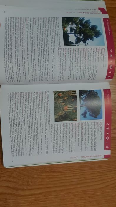 As Árvores na Cidade de António P. Saraiva